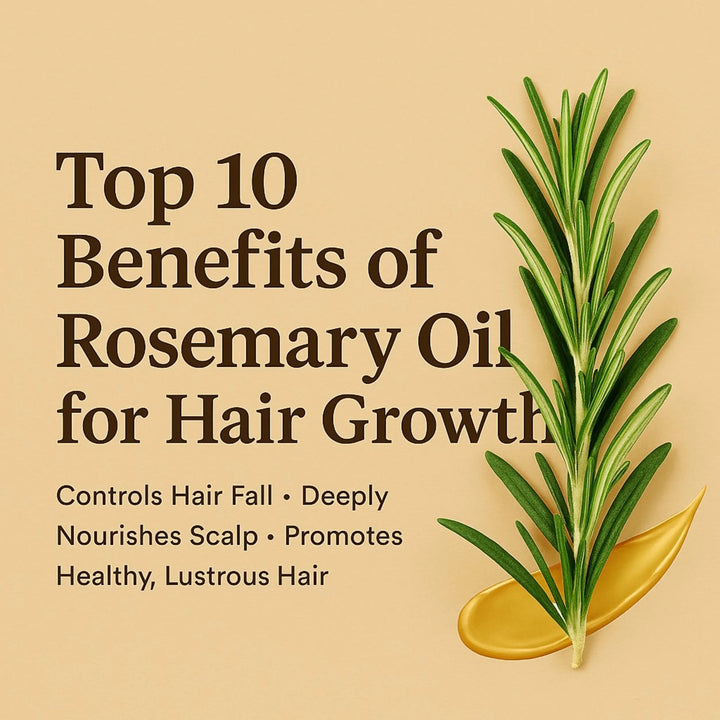 Top 10 Rosemary Oil Benefits for Hair Growth