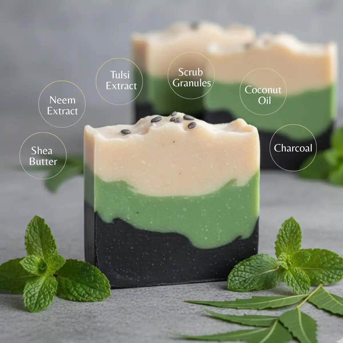 Divine Detox – Neem, Tulsi & Activated Charcoal